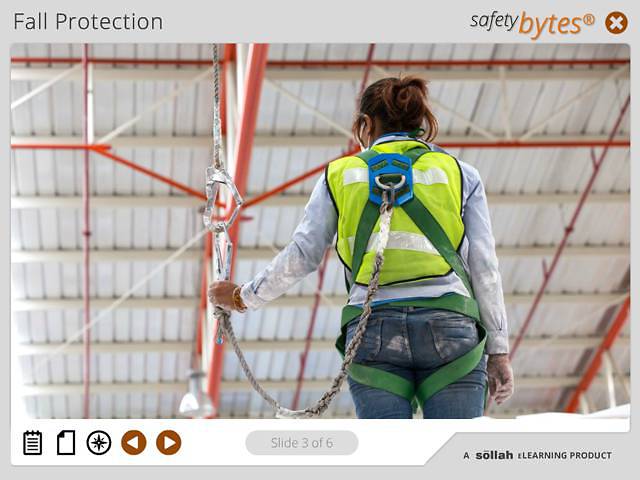 SafetyBytes® - Fall Prevention (Full Body Harness)
