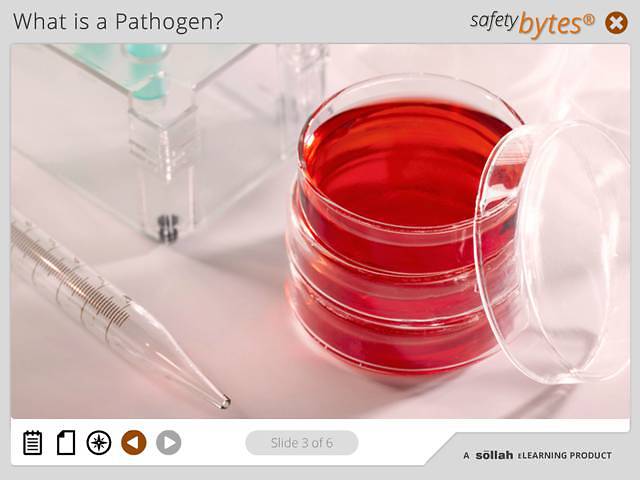SafetyBytes® - Bloodborne Pathogens Engineering Controls