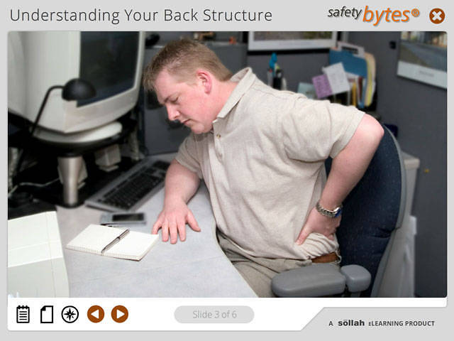 SafetyBytes® - Structure of the Back